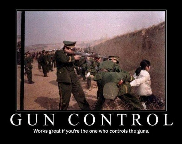 http://www.lookintoit.org/images/guncontrolpic.jpg