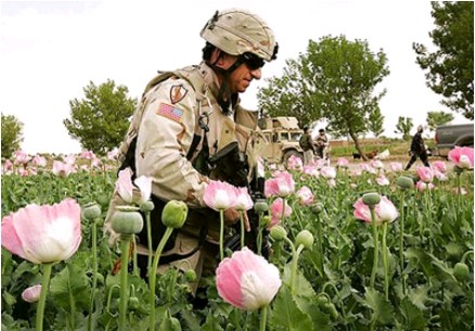Troops Protect Government Drug Dealing