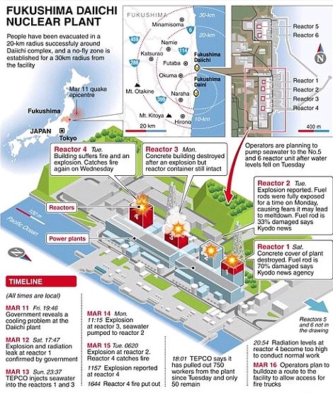 FUKUSHIMA NEWS