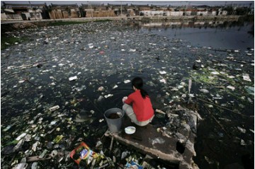 ORGANIC FOOD GROWN IN CESSPOOL