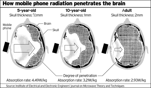 Electromagnetic Pollution